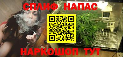 шишки Конаково